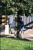 p0002013.jpg