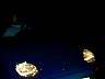 DSCN1385.jpg