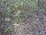 DSCN1405.jpg