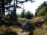 DSCN1407.jpg