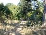 DSCN1408.jpg