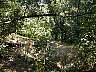 DSCN1412.jpg