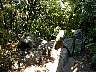 DSCN1413.jpg
