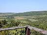 DSCN1433.jpg