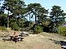 DSCN1454.jpg
