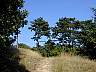 DSCN1458.jpg