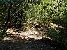 DSCN1460.jpg