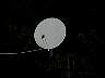 DSCN1491.jpg
