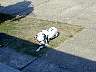 DSCN1578.jpg
